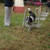 foire-haricots 2011-09-17et18